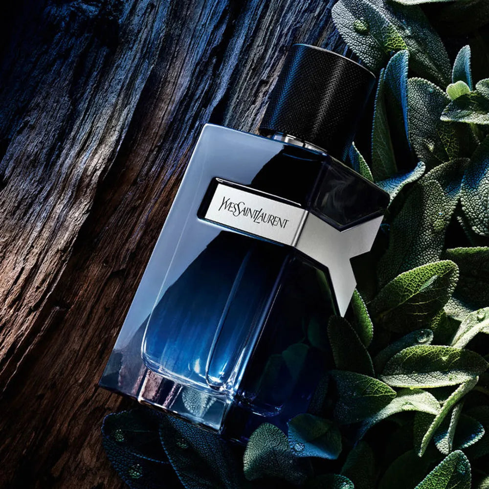 YVES SAINT LAURENT Y INTENSE EDP