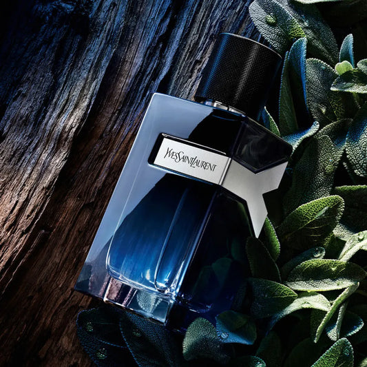 YVES SAINT LAURENT Y INTENSE EDP